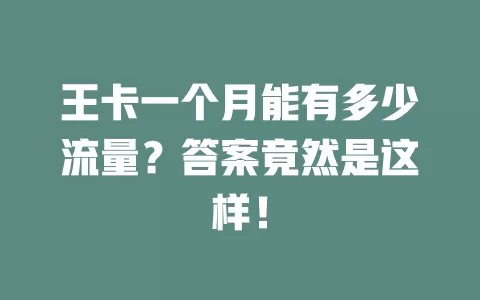 王卡一个月能有多少流量？答案竟然是这样！