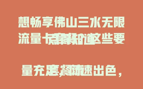 想畅享佛山三水无限流量卡套餐？这些要点得知道

套餐流量充足，网速出色，费用合理，使用范围广，还有可能含增值服务，让你尽情享受数字化生活乐趣 。