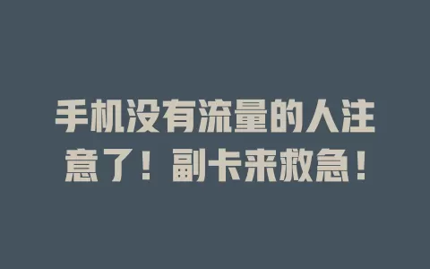 手机没有流量的人注意了！副卡来救急！