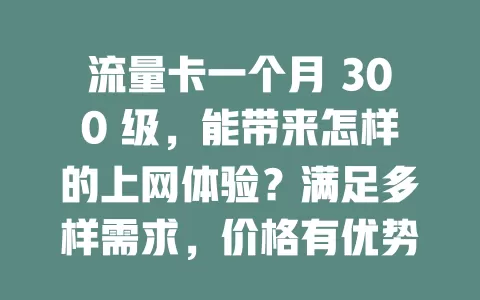流量卡一个月 300 级，能带来怎样的上网体验？满足多样需求，价格有优势，选时按需考虑，畅享数字世界