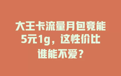 大王卡流量月包竟能5元1g，这性价比谁能不爱？