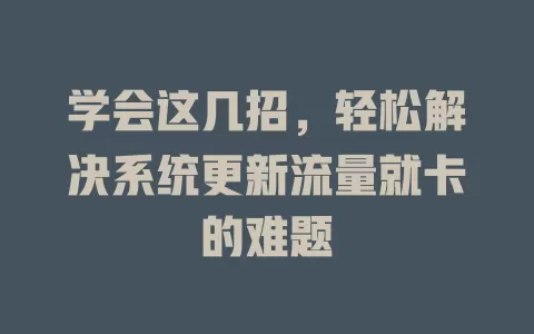 学会这几招，轻松解决系统更新流量就卡的难题