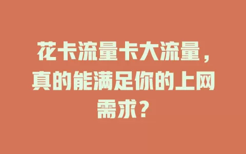 花卡流量卡大流量，真的能满足你的上网需求？