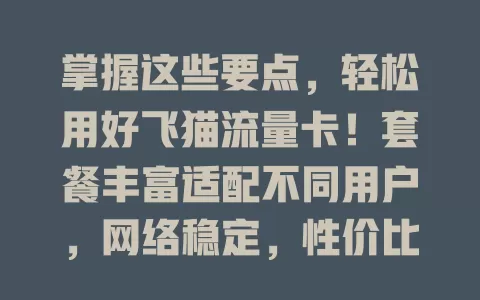 掌握这些要点，轻松用好飞猫流量卡！套餐丰富适配不同用户，网络稳定，性价比高，客服贴心，还能灵活调套餐，助你畅享便捷网络生活