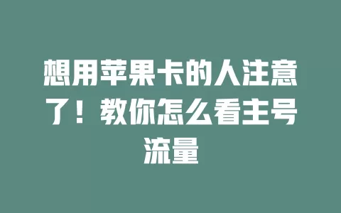 想用苹果卡的人注意了！教你怎么看主号流量