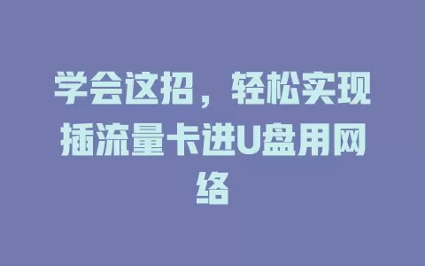 学会这招，轻松实现插流量卡进U盘用网络