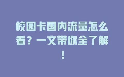 校园卡国内流量怎么看？一文带你全了解！