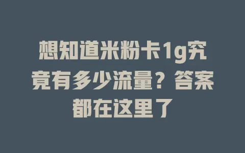 想知道米粉卡1g究竟有多少流量？答案都在这里了