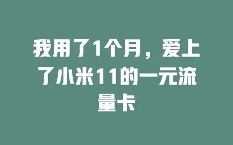我用了1个月，爱上了小米11的一元流量卡