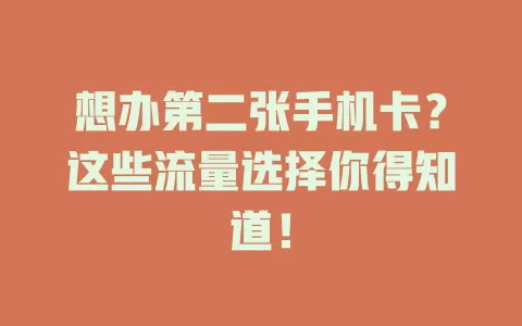 想办第二张手机卡？这些流量选择你得知道！