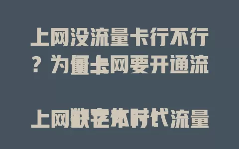上网没流量卡行不行？为何上网要开通流量卡

数字化时代上网缺它不行！流量卡避免高额费用、提供稳定网络、方便随时随地上网，助你畅享网络，还不赶紧考虑开通？