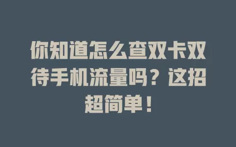 你知道怎么查双卡双待手机流量吗？这招超简单！