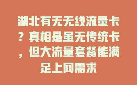 湖北有无无线流量卡？真相是虽无传统卡，但大流量套餐能满足上网需求
