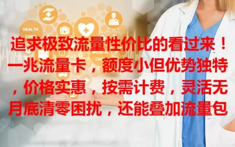 追求极致流量性价比的看过来！一兆流量卡，额度小但优势独特，价格实惠，按需计费，灵活无月底清零困扰，还能叠加流量包。选卡留意有效期等，不同运营商有差异，综合比较，是节制流量用户的经济之选