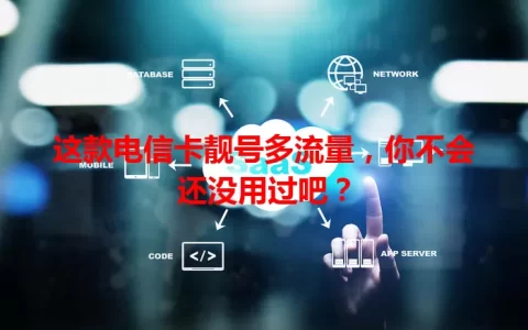 这款电信卡靓号多流量，你不会还没用过吧？