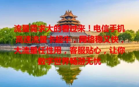 流量需求大的看过来！电信手机高速流量卡超牛，网络稳又快，大流量任性用，客服贴心，让你数字世界畅游无忧