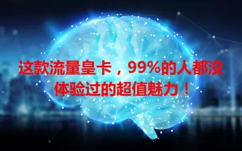 这款流量皇卡，99%的人都没体验过的超值魅力！