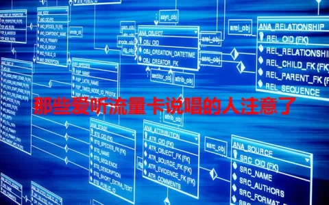 那些爱听流量卡说唱的人注意了