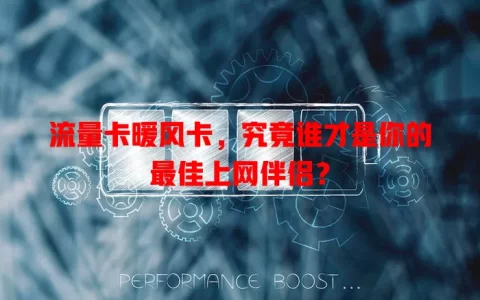 流量卡暖风卡，究竟谁才是你的最佳上网伴侣？