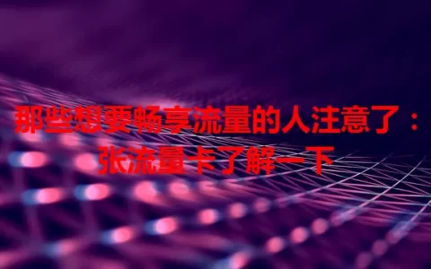 那些想要畅享流量的人注意了：张流量卡了解一下