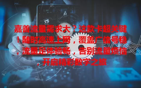 嘉善流量需求大？这款卡超关键！随时高速上网，覆盖广信号稳，流量足体验畅，告别流量烦恼，开启精彩数字之旅