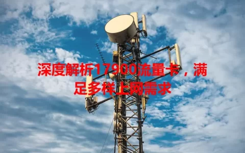 深度解析17900流量卡，满足多样上网需求