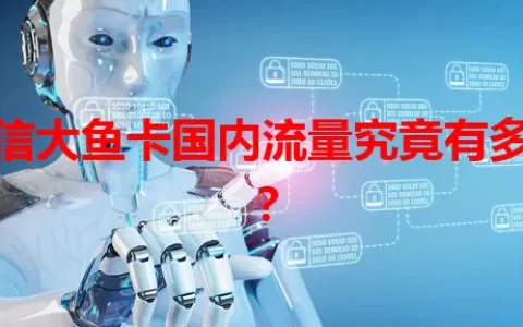 电信大鱼卡国内流量究竟有多少？