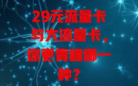 29元流量卡与大流量卡，你更青睐哪一种？