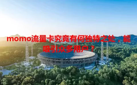 momo流量卡究竟有何独特之处，能吸引众多用户？