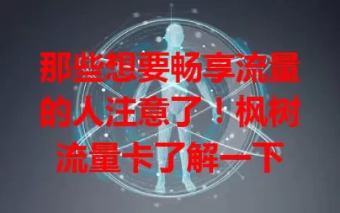 那些想要畅享流量的人注意了！枫树流量卡了解一下