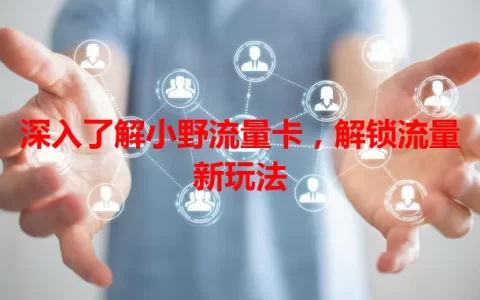 深入了解小野流量卡，解锁流量新玩法