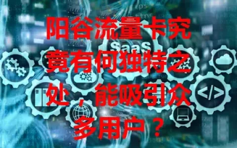 阳谷流量卡究竟有何独特之处，能吸引众多用户？