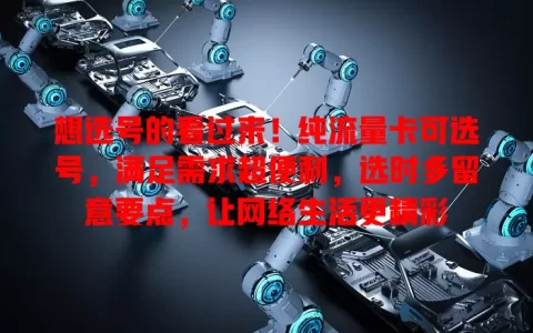 想选号的看过来！纯流量卡可选号，满足需求超便利，选时多留意要点，让网络生活更精彩