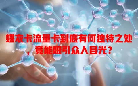 蝶衣卡流量卡到底有何独特之处，竟能吸引众人目光？