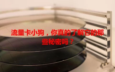 流量卡小狗，你真的了解它的那些秘密吗？