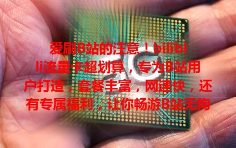 爱刷B站的注意！biliblli流量卡超划算，专为B站用户打造，套餐丰富，网速快，还有专属福利，让你畅游B站无拘无束