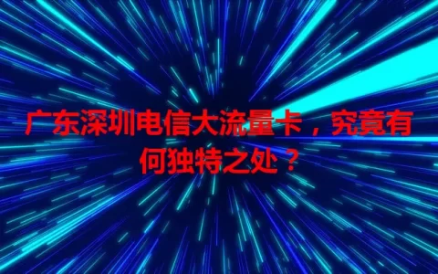 广东深圳电信大流量卡，究竟有何独特之处？