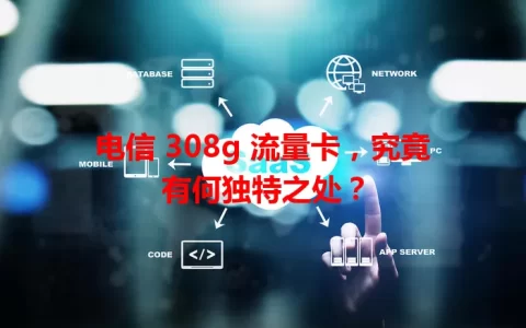 电信 308g 流量卡，究竟有何独特之处？