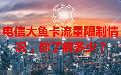 电信大鱼卡流量限制情况，你了解多少？