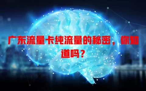 广东流量卡纯流量的秘密，你知道吗？