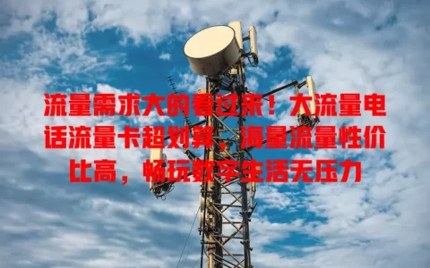 流量需求大的看过来！大流量电话流量卡超划算，海量流量性价比高，畅玩数字生活无压力
