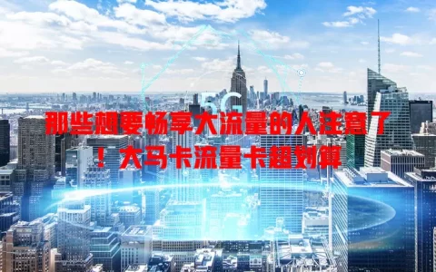 那些想要畅享大流量的人注意了！大马卡流量卡超划算