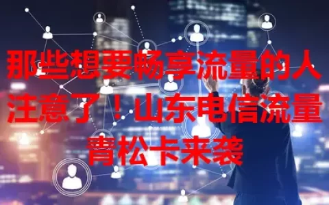 那些想要畅享流量的人注意了！山东电信流量青松卡来袭