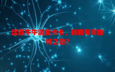 这款牛牛流量卡卡，到底有何独特之处？