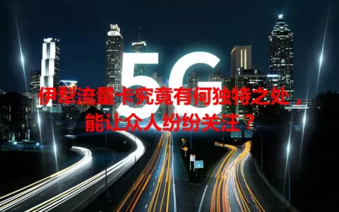 伊犁流量卡究竟有何独特之处，能让众人纷纷关注？