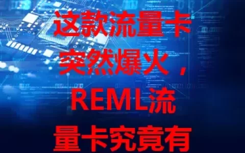 这款流量卡突然爆火，REML流量卡究竟有何魅力？