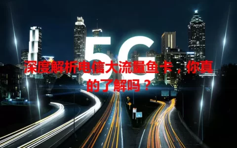 深度解析电信大流量鱼卡，你真的了解吗？