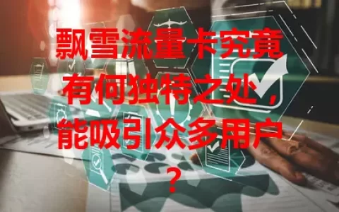 飘雪流量卡究竟有何独特之处，能吸引众多用户？