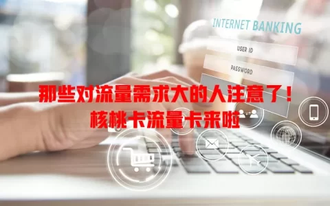 那些对流量需求大的人注意了！核桃卡流量卡来啦