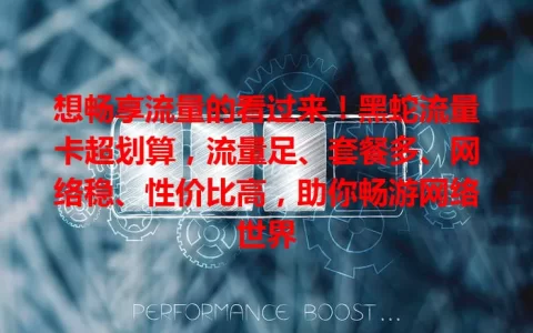 想畅享流量的看过来！黑蛇流量卡超划算，流量足、套餐多、网络稳、性价比高，助你畅游网络世界